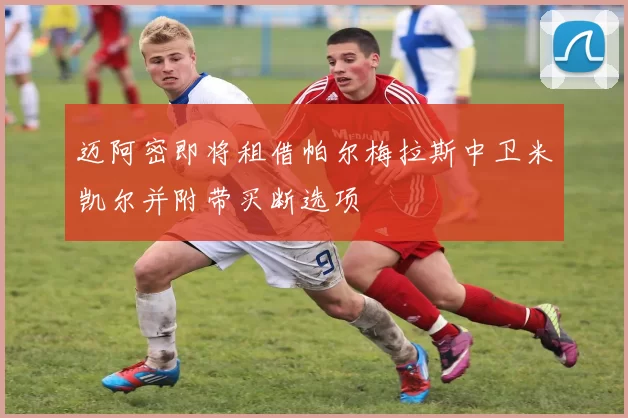 迈阿密即将租借帕尔梅拉斯中卫米凯尔并附带买断选项